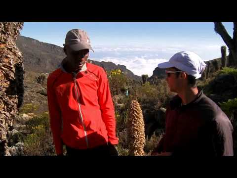 Kilian Jornet – Ascension du Kilimandjaro en courant