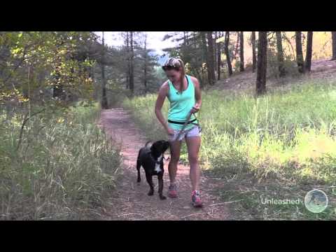 Trail Running with Your Best Friend